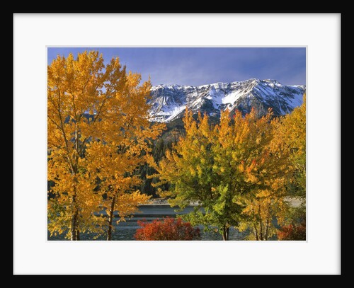 Chief Joseph Mountain by Anonymous