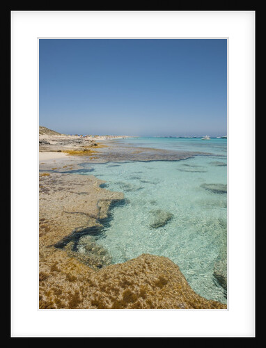 Balearic Islands - beach called 'platja de LLevant', parc des salines by Anonymous