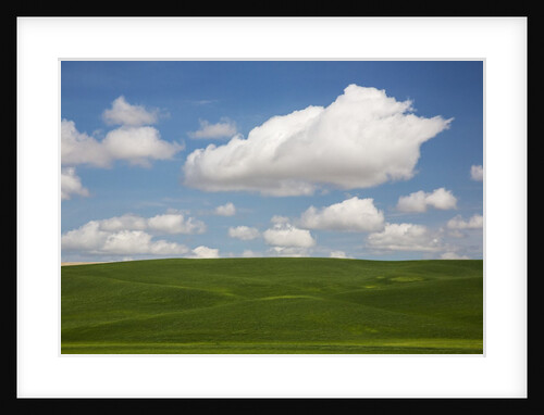 Spring Rolling Hills of Wheat and Clouds by Anonymous