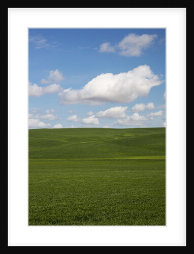 Spring Rolling Hills of Wheat and Clouds by Anonymous