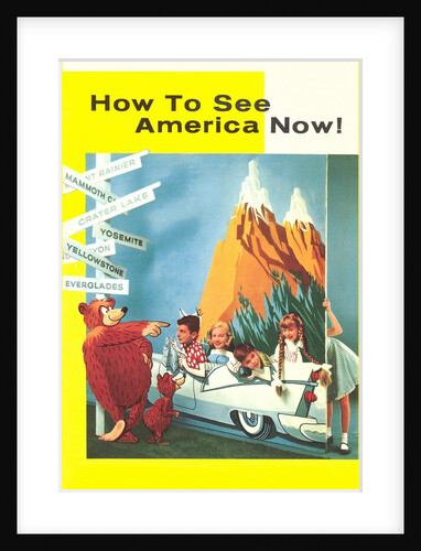 How to See America Now by Anonymous
