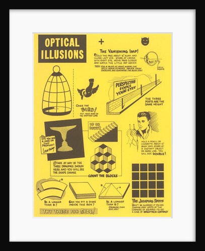 Optical Illusions by Anonymous