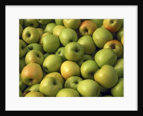 Golden delicious apples by Anonymous