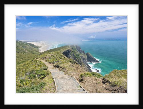Te Werahi Beach Track by Anonymous