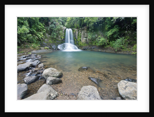 Waiau Falls by Anonymous