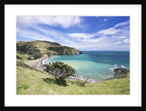 Fletcher Bay by Anonymous