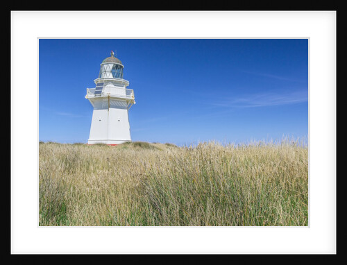 Waipapa Lighthouse by Anonymous