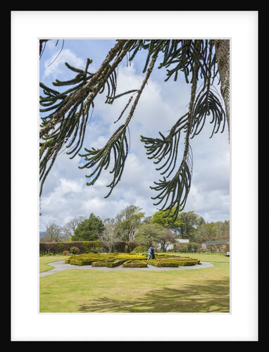 Dunvegan castle, the garden by Anonymous