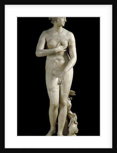 The Medici Venus - Marble copy of Greek sculpture by Anonymous