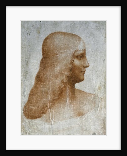 Portrait of Isabella d'Este - Drawing by Leonardo da Vinci
