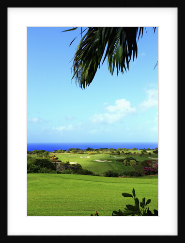 Sandy Lane, Green Monkey golf course by Anonymous