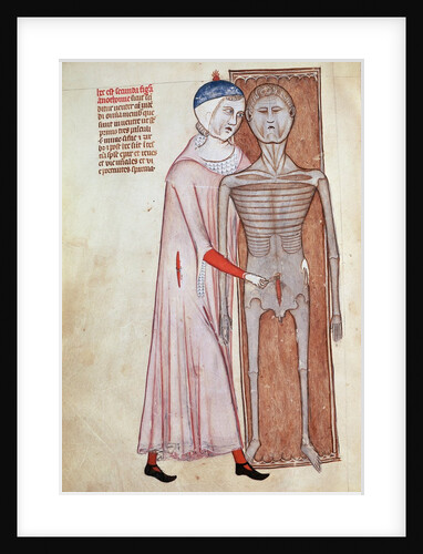 Dissection from the abdomen of a cadaver 1345 by Anonymous