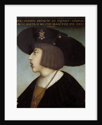 Portrait of Ferdinand I by Hans Maler zu Schwaz