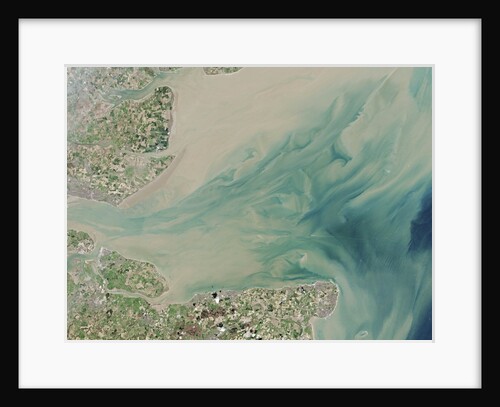 Satellite view of the Thames River Estuary by Anonymous