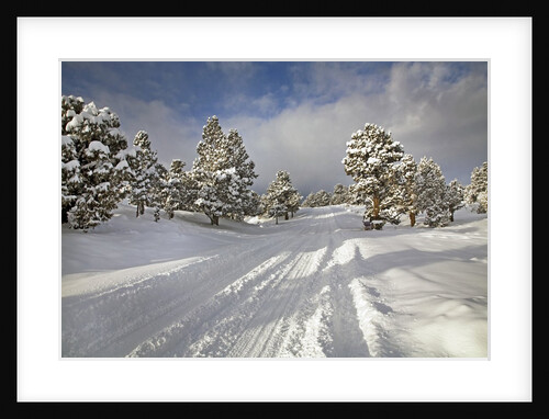 Rural road by Anonymous
