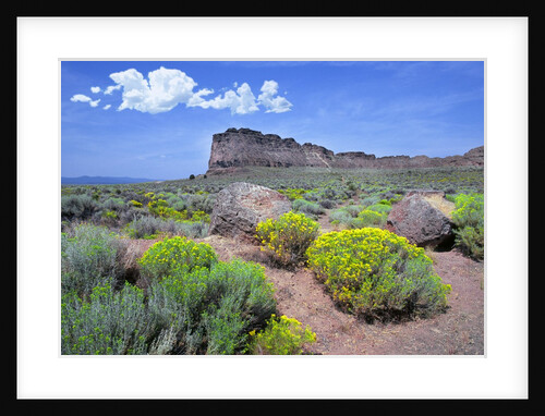 Fort Rock, Oregon by Anonymous