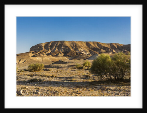 Negev Desert, landscape by Anonymous