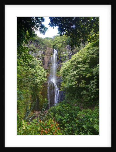 Waterfall along the Hana Highway by Anonymous