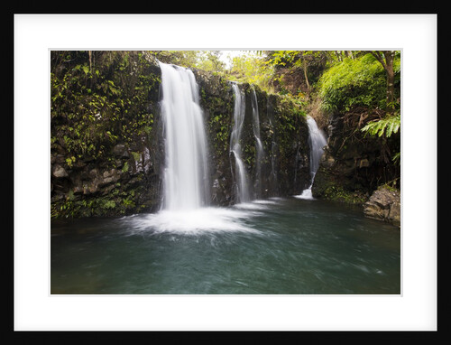Waterfall along the Hana Highway by Anonymous
