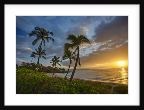 Sunset on Southern Maui Beach with Palm Trees by Anonymous