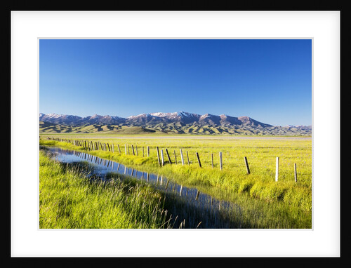 Creek and fence line in the Camas Prairie by Anonymous