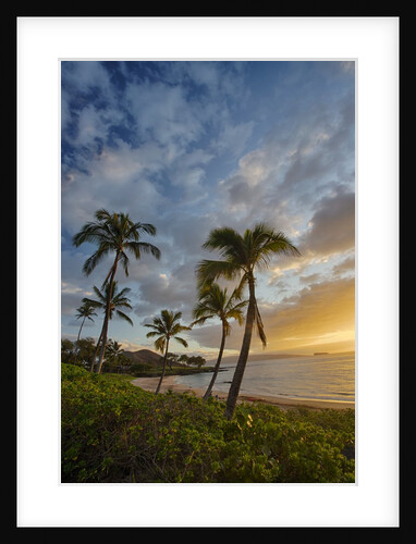 Sunset on Southern Maui Beach with Palm Trees by Anonymous