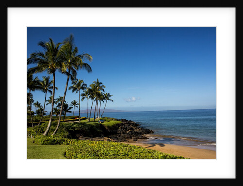 Palm Trees and Beach Along the Southern Maui by Anonymous