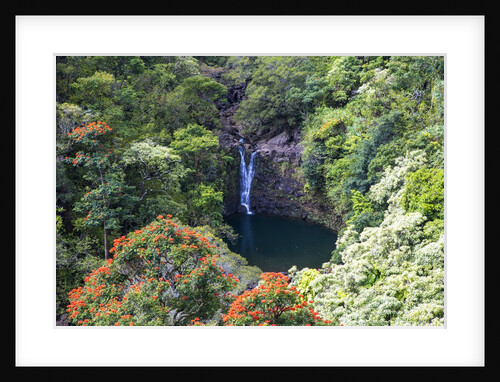Waterfall along the Hana Highway by Anonymous