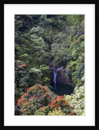 Waterfall along the Hana Highway by Anonymous