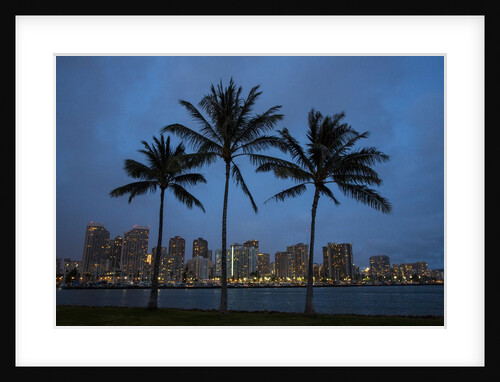 Palm Trees with the night lights of Honolulu by Anonymous