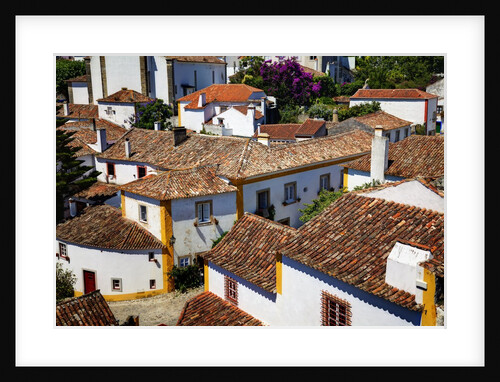 Elevated View of the town with the Red Roofs and special architecture of the town by Anonymous