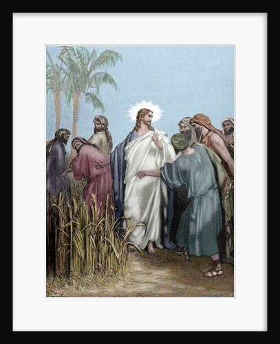 The apostles gathered ears in the day of rest. Engraving. Colored. by Anonymous