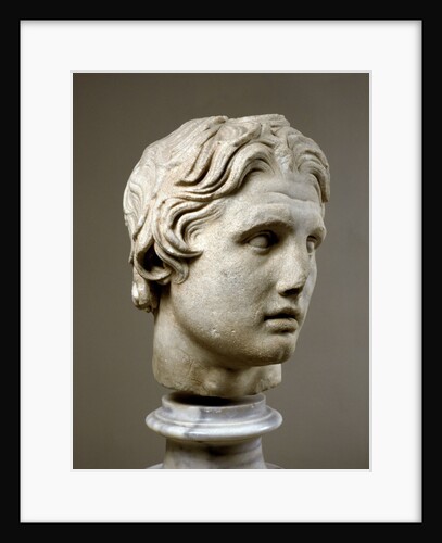 Head of Alexander the Great by Anonymous