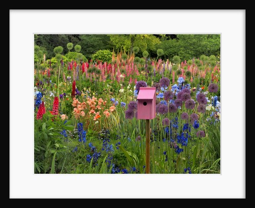 Pink birdhouse in flower garden by Anonymous