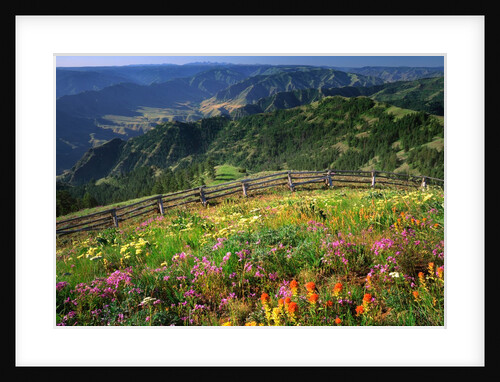Buckhorn Viewpoint & Imnaha River Valley by Anonymous