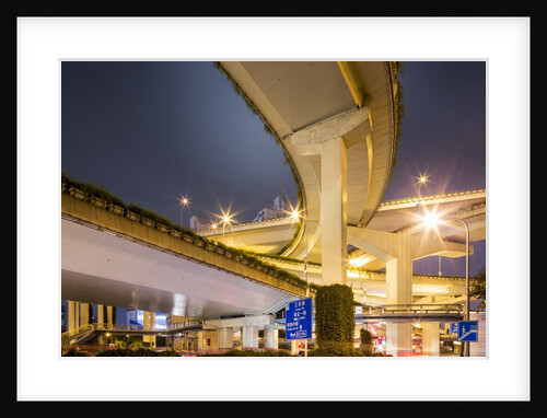 Highway Overpass, Shanghai, China by Anonymous
