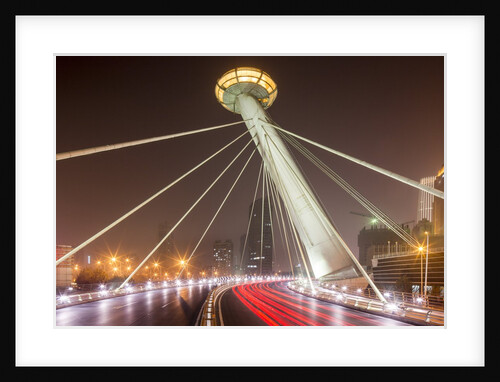 Ligonglou Bridge, Tianjin, China by Anonymous