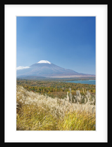 Lake Yamanaka & Mt. Fuji by Anonymous