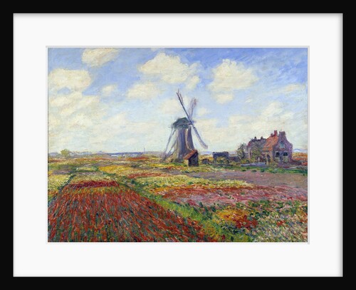 Tulip Fields in Holland by Claude Monet