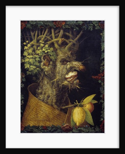 Winter by Giuseppe Arcimboldo