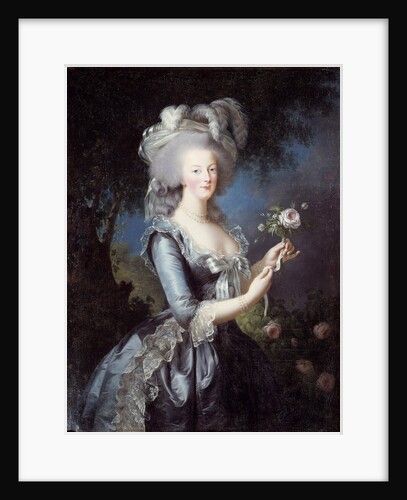 Marie-Antoinette with a Rose by Elisabeth Vigee-Lebrun