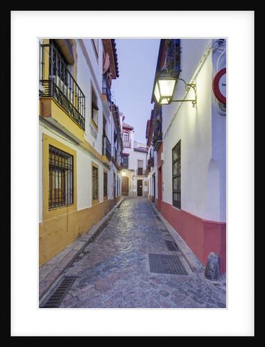 Medieval Alleyway by Anonymous