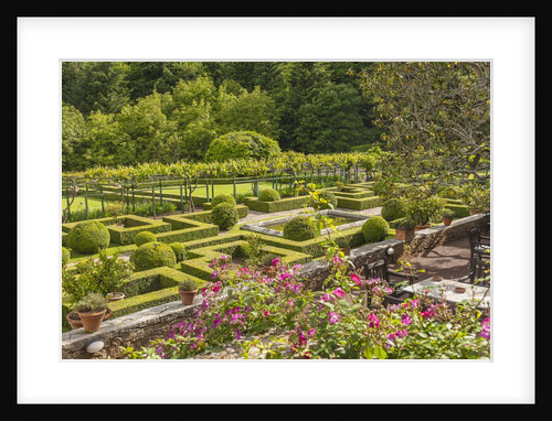 Badia a Coltibuono by Anonymous