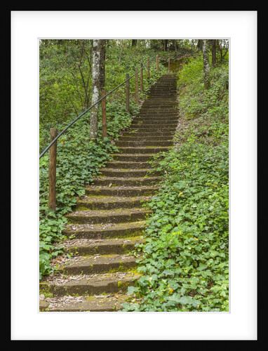 Bosco della Ragnaia, garden created by Sheppard Craige