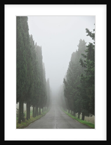 Road to Panna by Anonymous