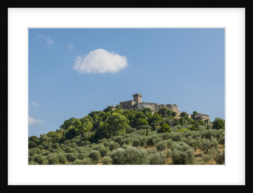 View of Capalbio by Anonymous
