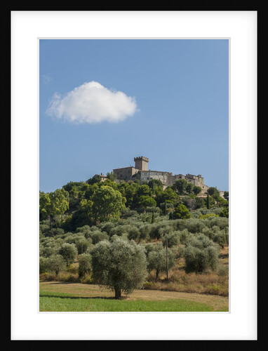 View of Capalbio by Anonymous