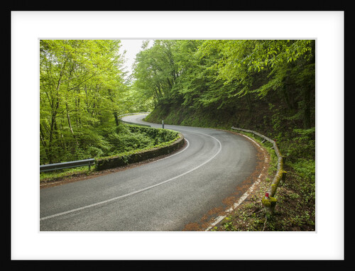 Road to Badia a Coltibuono by Anonymous