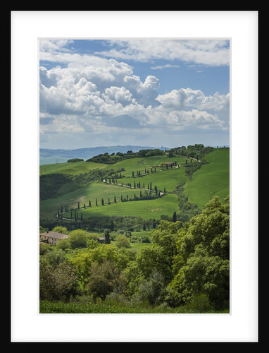 Val d'Orcia View from Villa La Foce by Anonymous