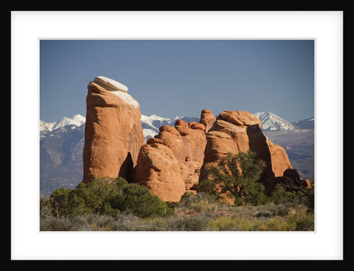 Devil's Garen and the La Sal Mountains by Anonymous